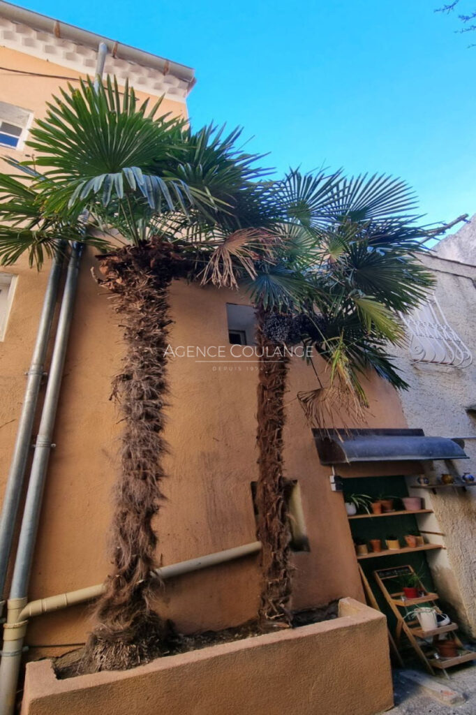 location appartement meublé 3 Pièce(s) – 3 pièces – 2 chambres – 67.26 m²