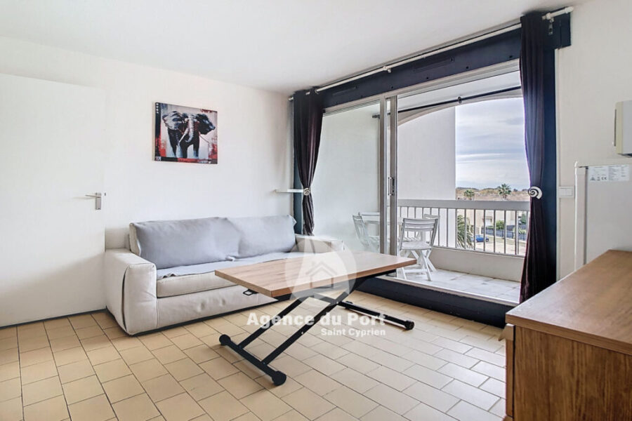 Appartement à vendre à Saint-cyprien-plage — Vue montagne — photo 6