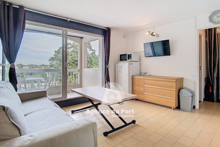 Appartement à vendre à Saint-cyprien-plage — Vue montagne — photo 4