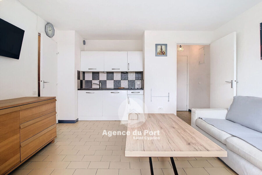 Appartement à vendre à Saint-cyprien-plage — Vue montagne — photo 3