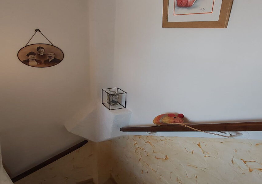 Maison à vendre à Riez