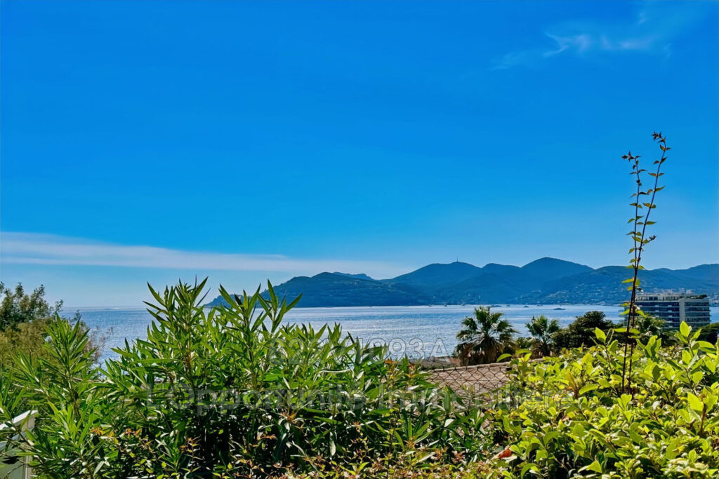 vente Idéal investisseur 2 Pièce(s) – 2 pièces – 1 chambre – 27.09 m²