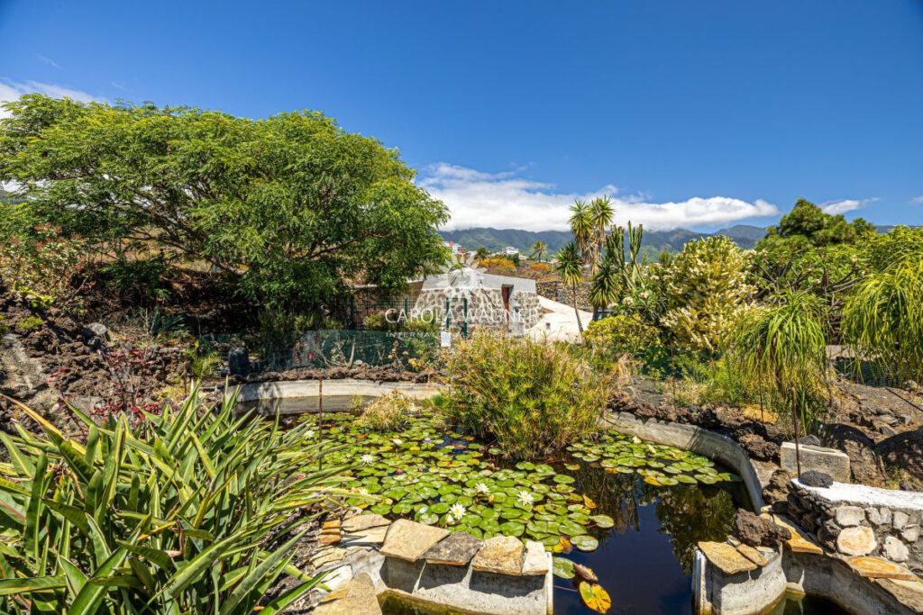 vente maison de campagne 4 Pièce(s) – 4 pièces – 2 chambres – 148.00 m²