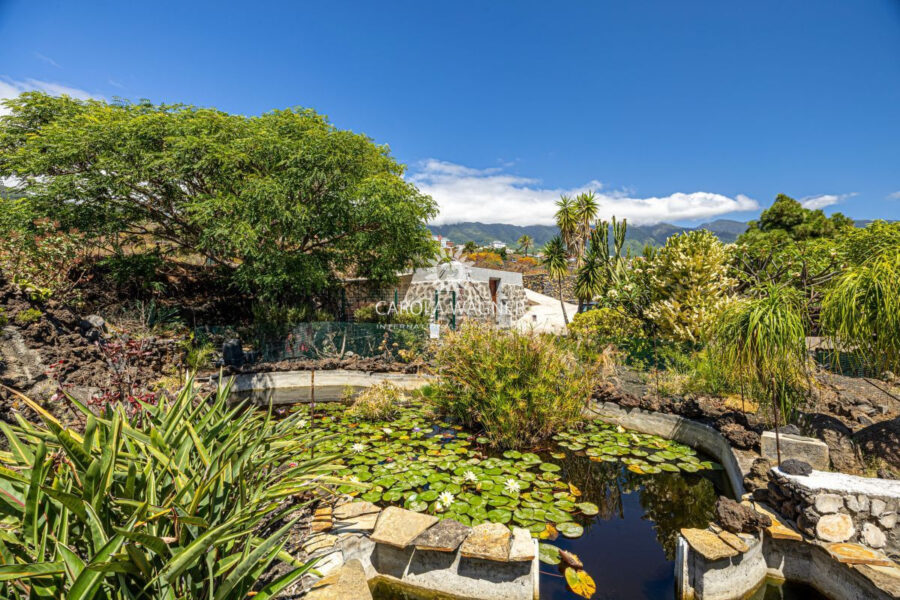 Maison à vendre à Brena baja