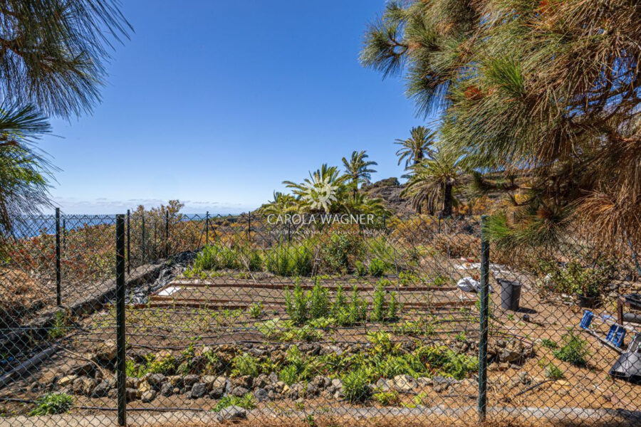 Maison à vendre à Brena baja