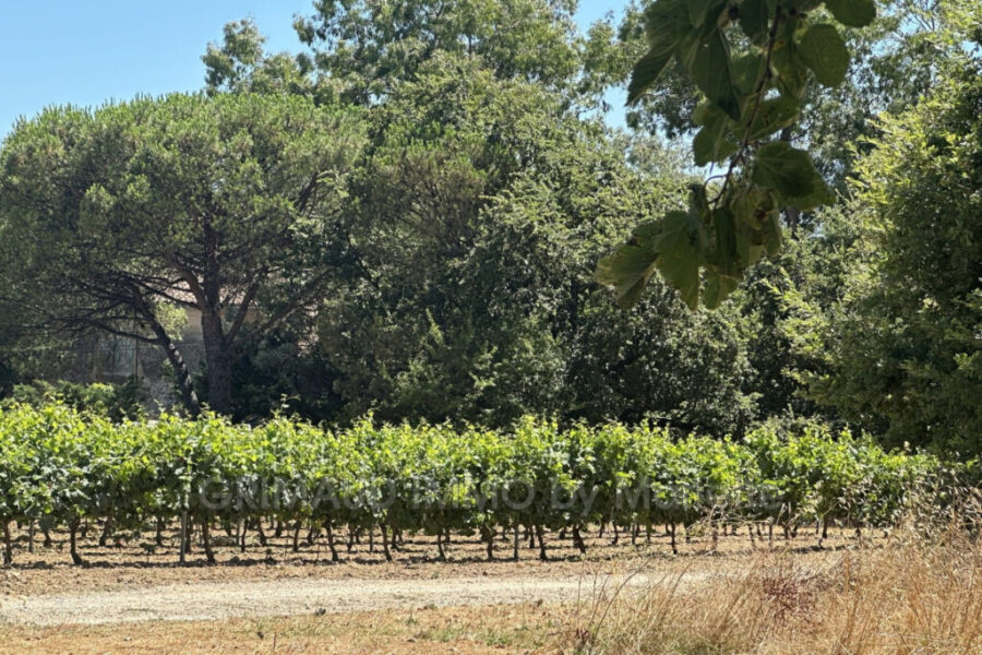 Maison à vendre à Grimaud — Vue nature — photo 1