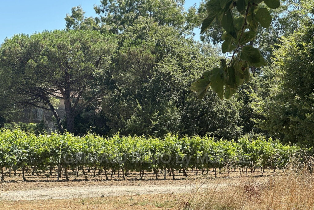 maison sur 500m² de terrain, avec beaucoup de charme, piscine  – 4 pièces – 2 chambres – 85.00 m²