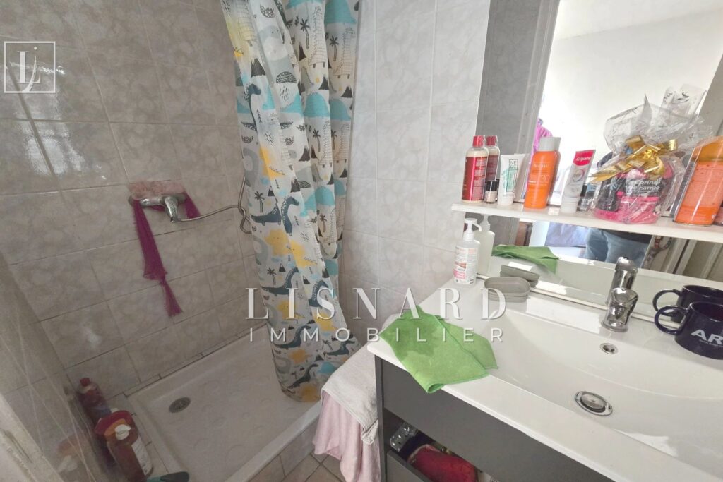 vente idéal investisseur 10 Pièce(s) – 10 pièces – 8 chambres – 220.00 m²