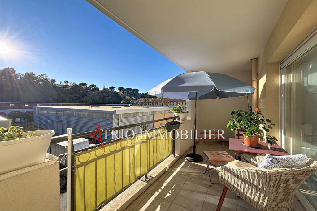 À découvrir sans tarder : charmant deux-pièces lumineux avec t – 2 pièces – 1 chambre – 44.00 m²