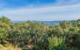 Maison à vendre à La Garde-Freinet — Vue nature — photo 18