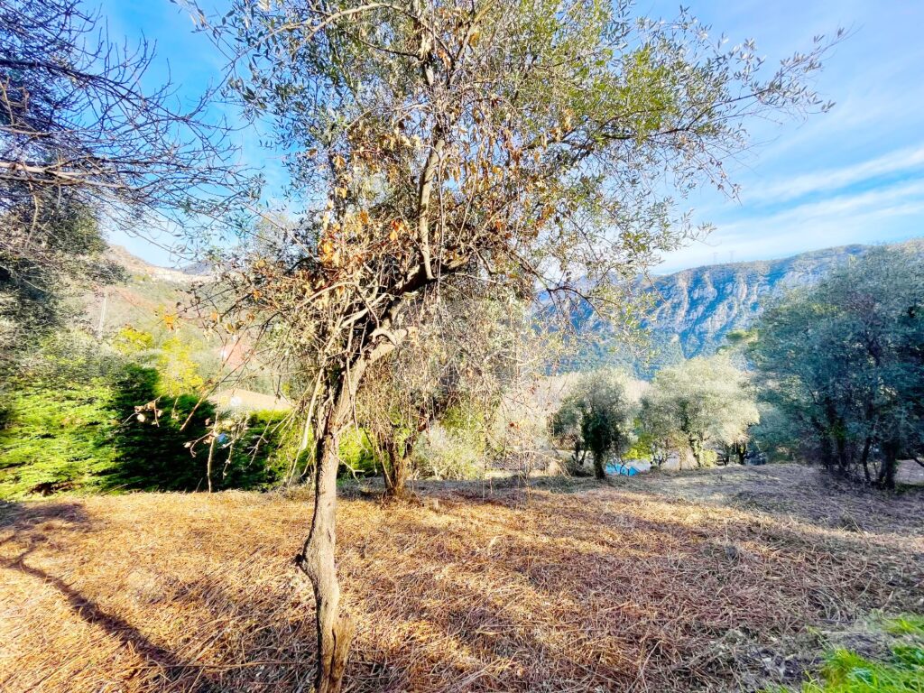 Terrain constructible – NR pièces – NR chambres