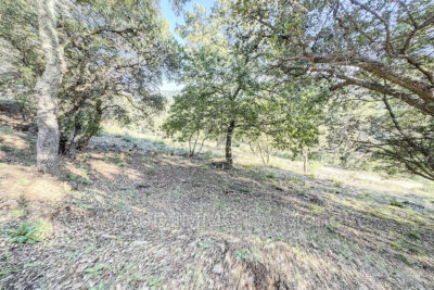 terrain constructible zone 1AUh de 2153m² – NR pièces – NR chambres – 2153.00 m²