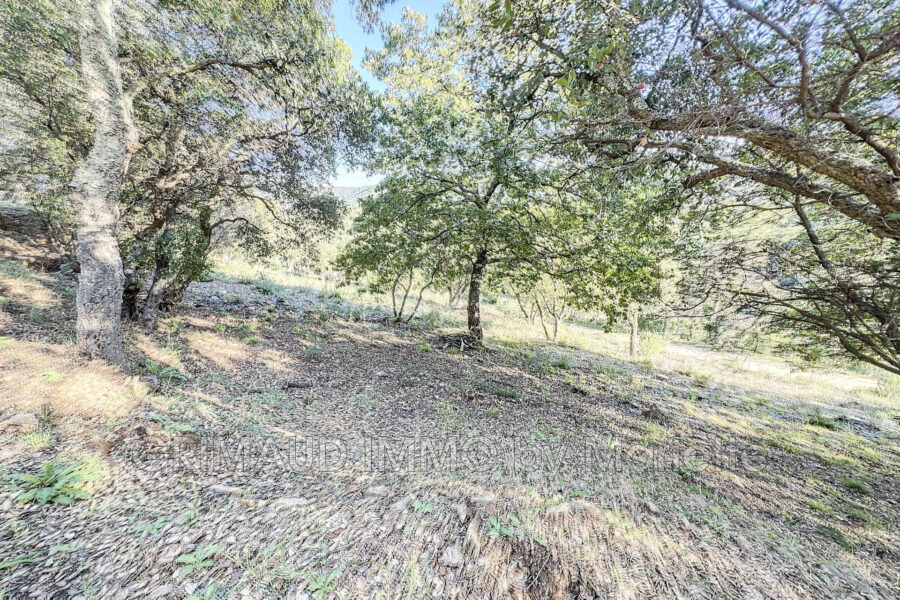 Terrain à vendre à La môle