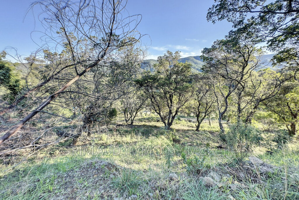 terrain constructible zone 1AUh de 2153m² – NR pièces – NR chambres – 2153.00 m²