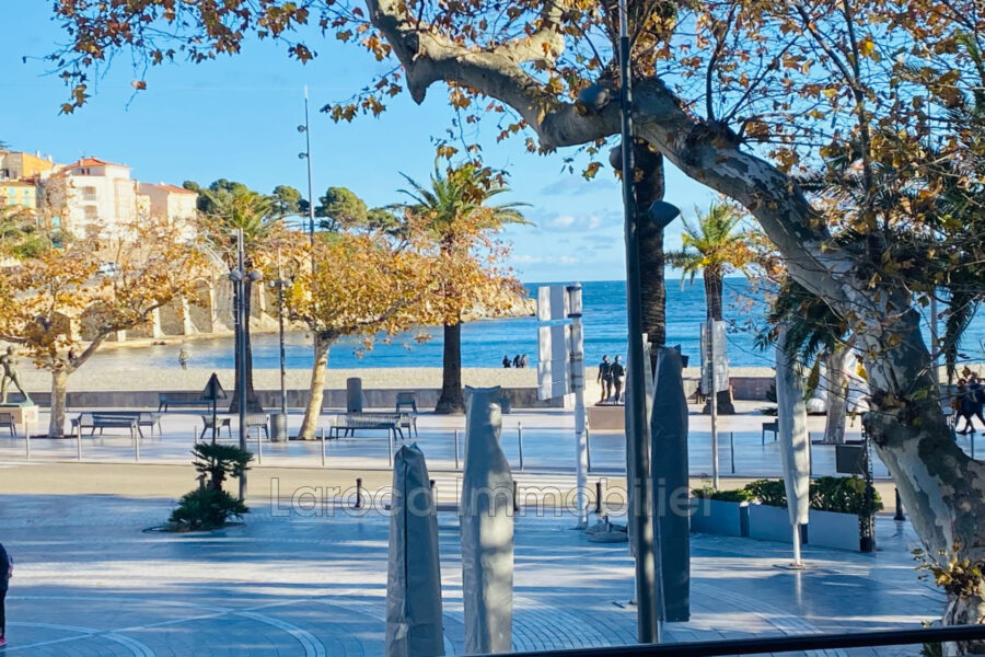 Appartement à vendre à Banyuls-sur-mer