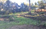 vente terrain à bâtir – NR pièces – NR chambres – 1100.00 m²