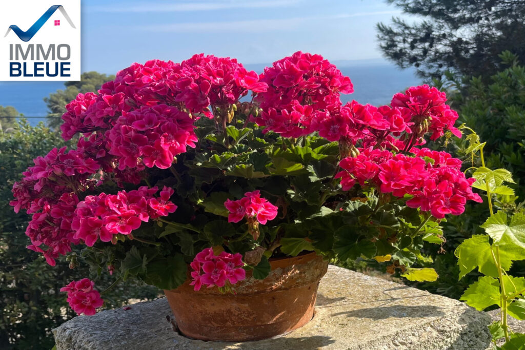 Vous recherchez un projet familial ou pour un investissement ? – 4 pièces – 3 chambres – 127.00 m²