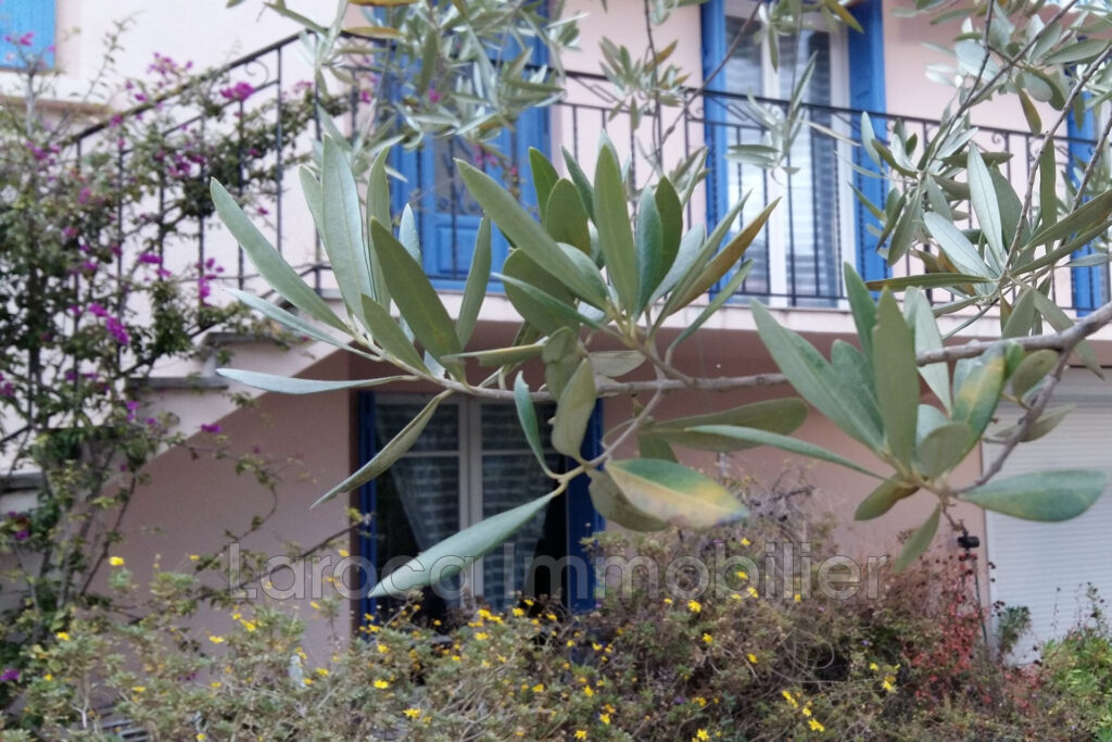 Achat villa à Laroque des Albères – 5 pièces – 3 chambres – 137.00 m²