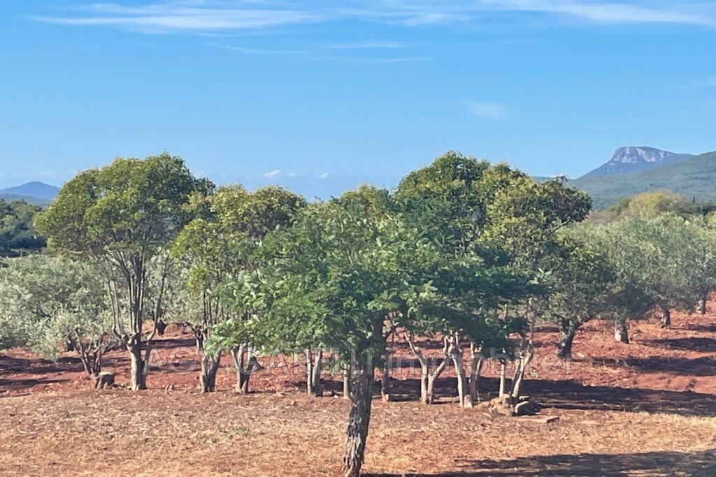 location maison de campagne 5 Pièce(s) – 5 pièces – 4 chambres – 147.15 m²