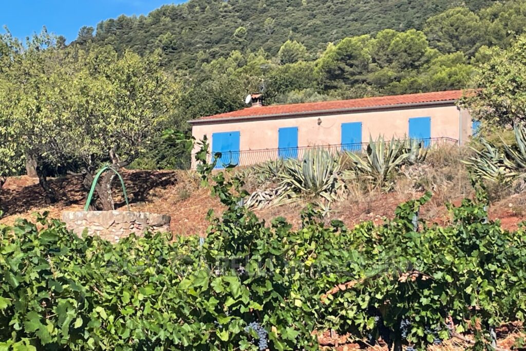 location maison de campagne 5 Pièce(s) – 5 pièces – 4 chambres – 147.15 m²