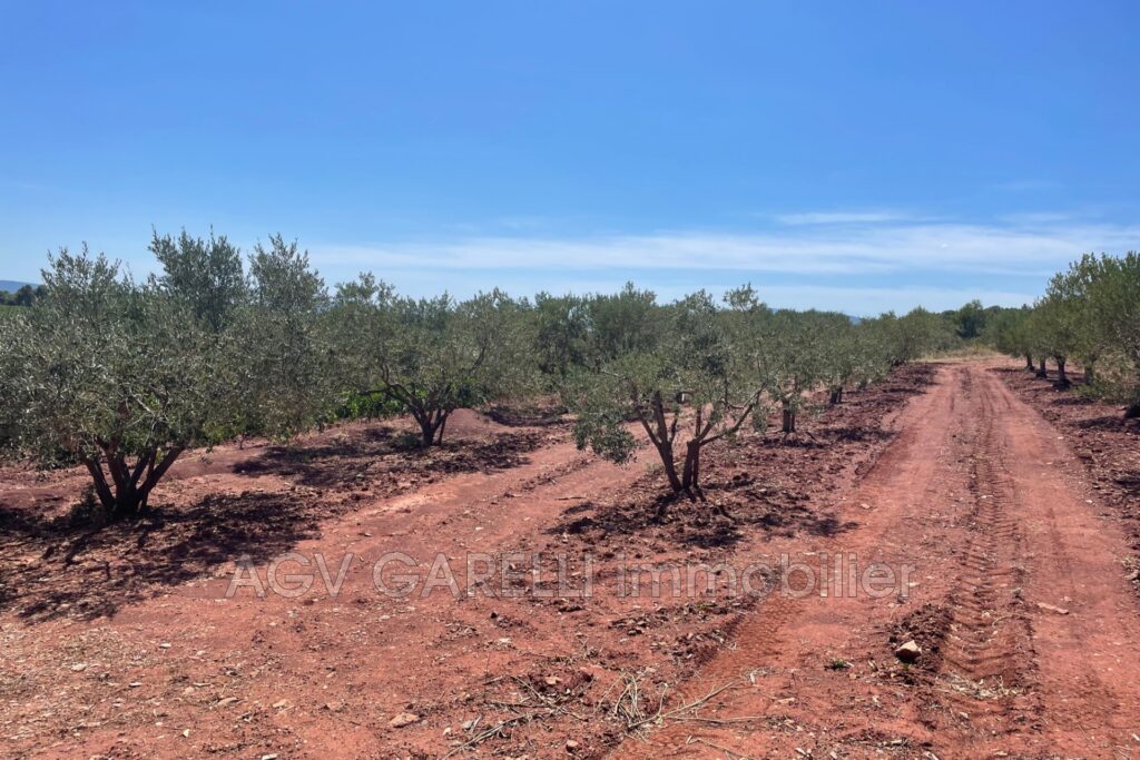 location maison de campagne 5 Pièce(s) – 5 pièces – 4 chambres – 147.15 m²