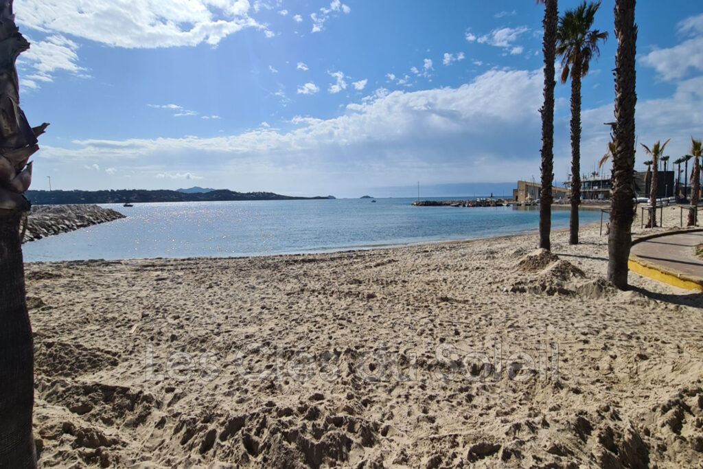 vente appartement 2 Pièce(s) – 2 pièces – 1 chambre – 31.02 m²