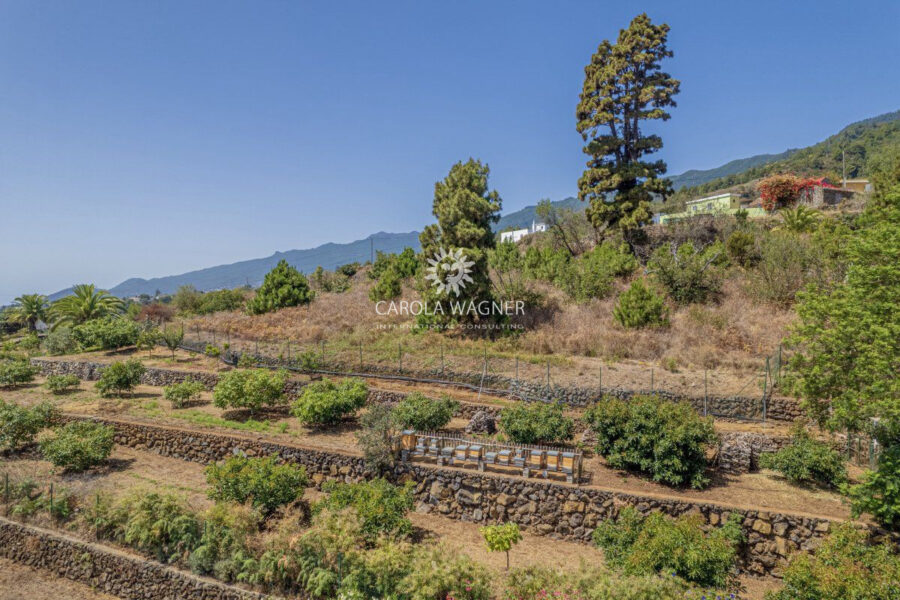 Maison à vendre à Santa cruz de la palma