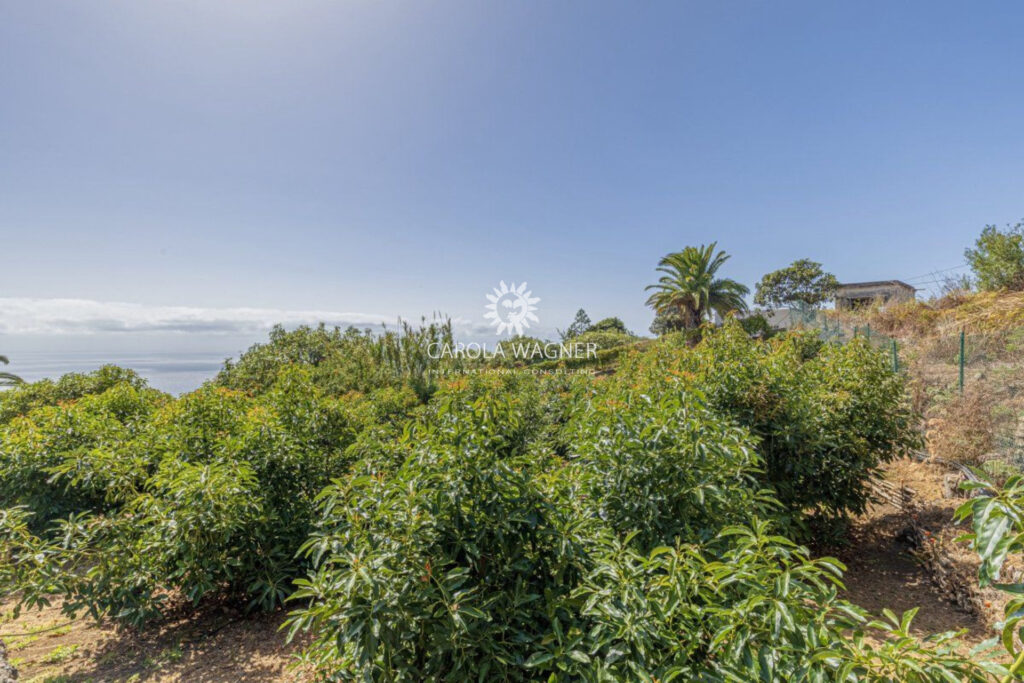 vente villa 5 Pièce(s) – 5 pièces – 3 chambres – 172.00 m²