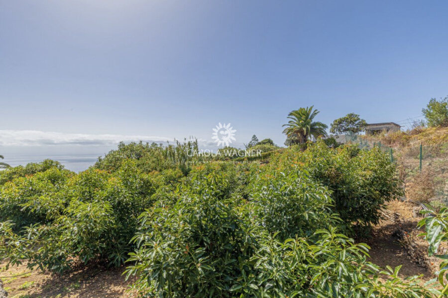 Maison à vendre à Santa cruz de la palma