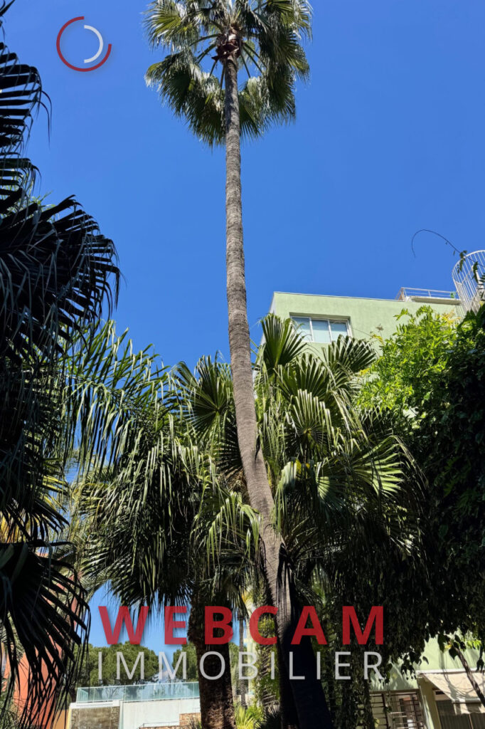 vente Idéal investisseur 3 Pièce(s) – 3 pièces – 2 chambres – 43.89 m²