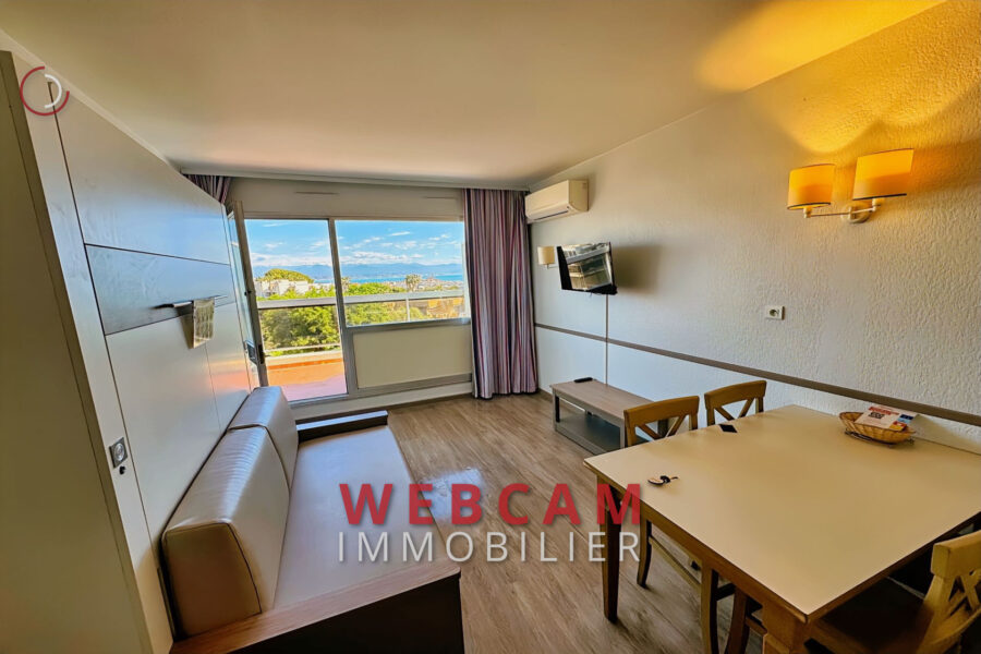 Appartement à vendre à Juan-les-pins