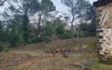 Maison à vendre à Le val — Vue nature — photo 1