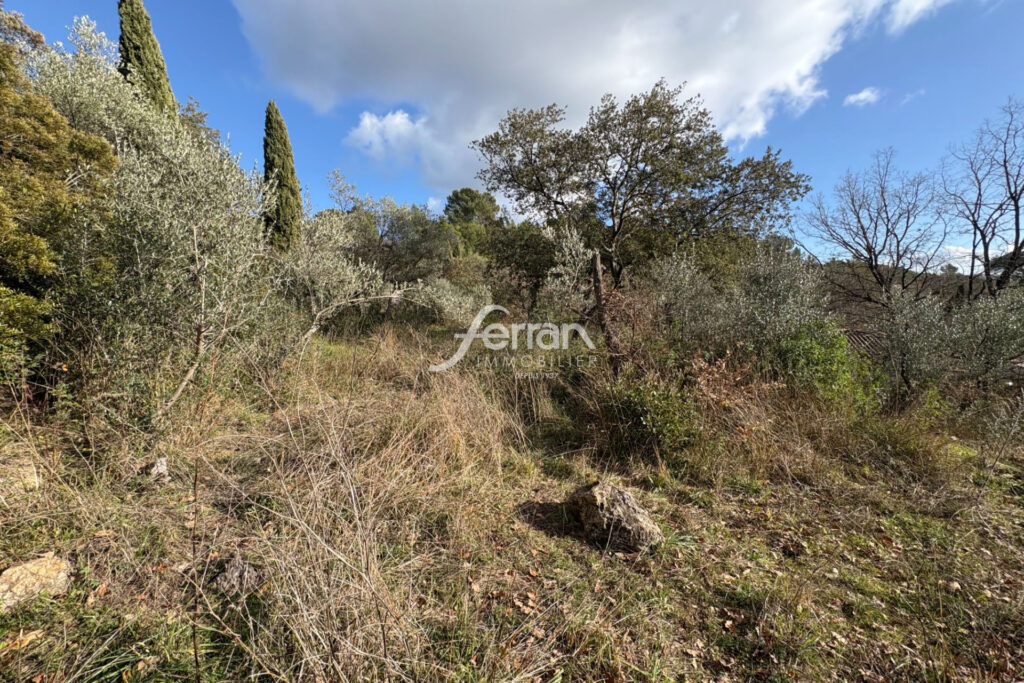 A vendre Beau terrain proche le centre village à Callas – 1411 – NR pièces – NR chambres – 1411.00 m²