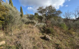 A vendre Beau terrain proche le centre village à Callas – 1411 – NR pièces – NR chambres – 1411.00 m²