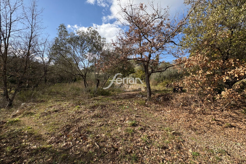 A vendre Beau terrain proche le centre village à Callas – 1411 – NR pièces – NR chambres – 1411.00 m²