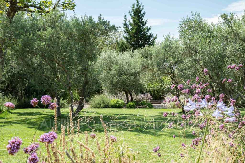 location saisonnière mas 8 Pièce(s) – 8 pièces – 4 chambres – 270.00 m²