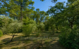 Maison à vendre à Cotignac — Vue nature — photo 11