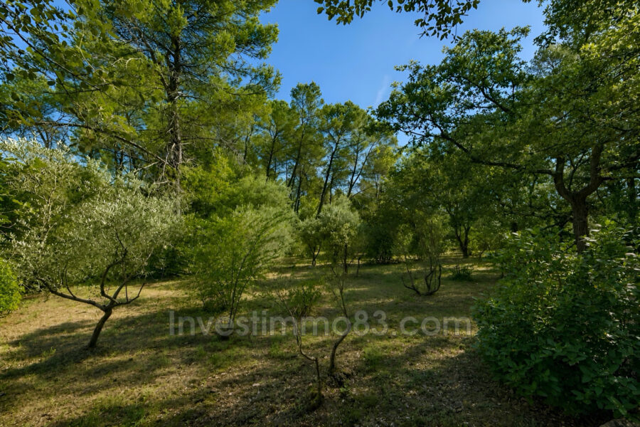 Maison à vendre à Cotignac — Vue nature — photo 11