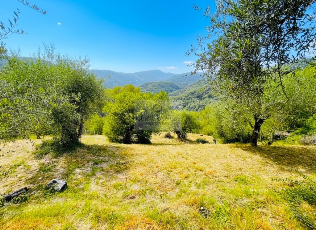 Terrain constructible – NR pièces – NR chambres