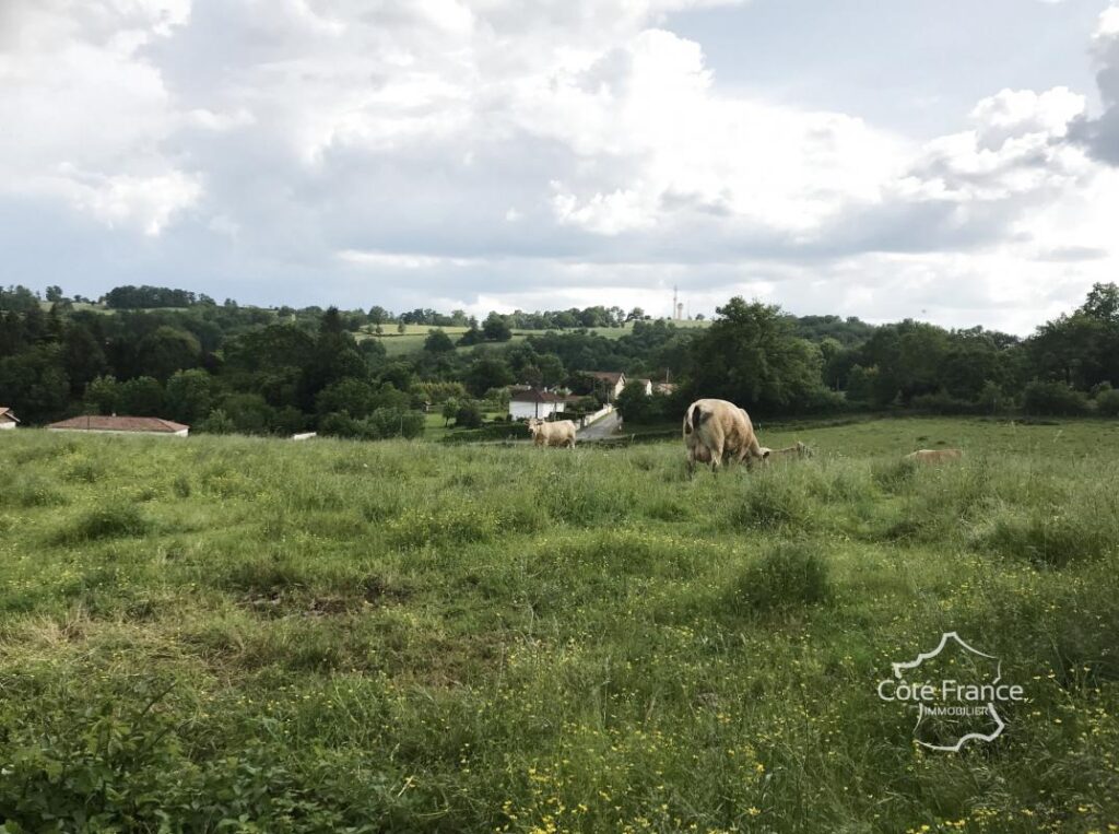 Projet de construction de 7 maisons dans le Lot, terrain de – NR pièces – NR chambres – 23408 m²