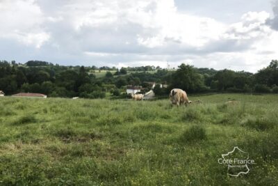 Projet de construction de 7 maisons dans le Lot, terrain de – NR pièces – NR chambres – 23408 m²