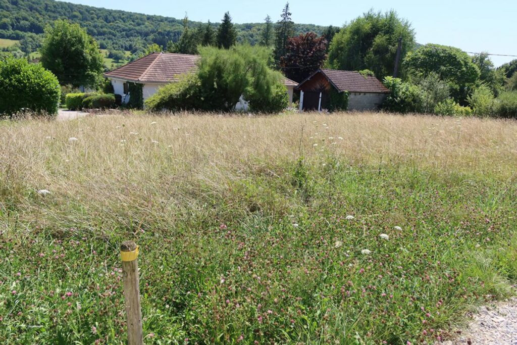 terrain constructible viabilisé – NR pièces – NR chambres – 982 m²