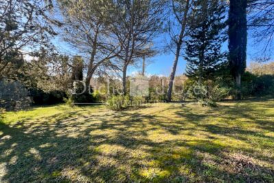 Terrain – NR pièces – NR chambres – 1090 m²