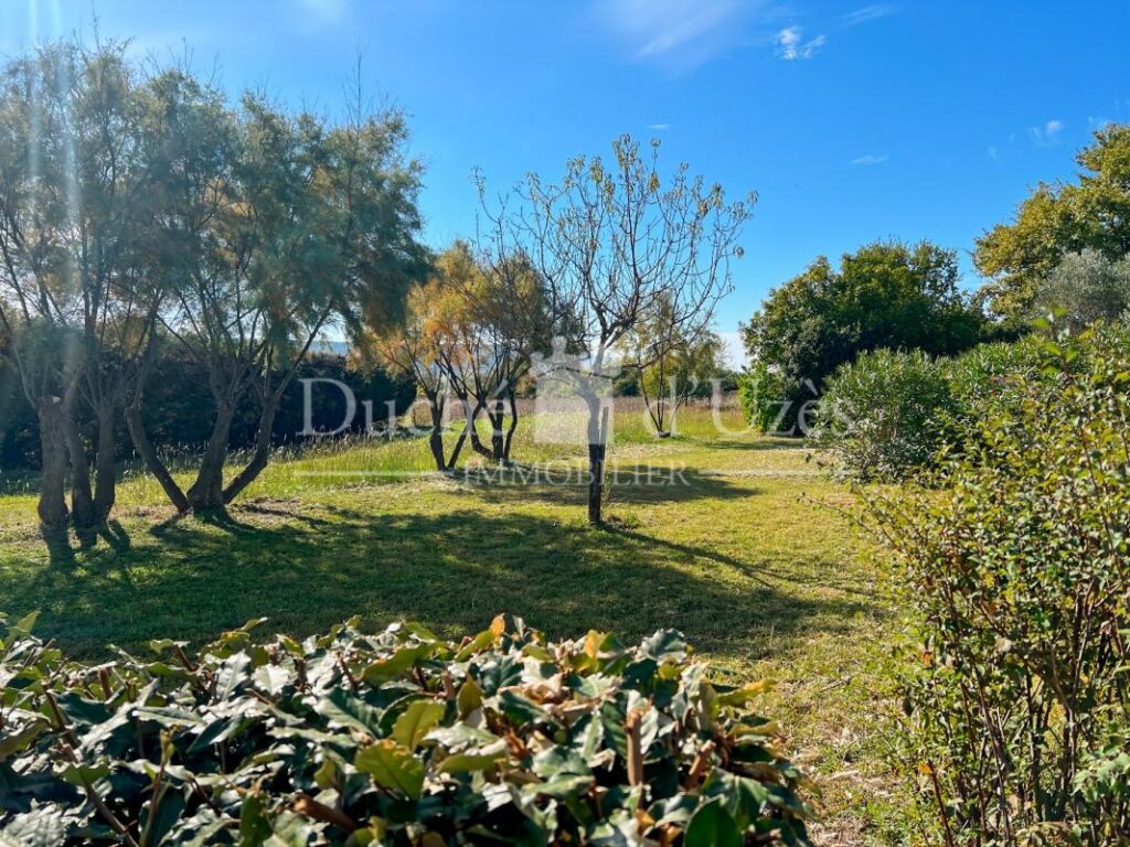 Terrain – NR pièces – NR chambres – 900 m²