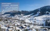 74120 PRAZ-SUR-ARLY – APPARTEMENT 1 CHAMBRE + MEZZANINE – VUE MONTAGNE – PROCHE CENTRE VILLAGE ET PISTES DE SKI – 2 pièces – 2 chambres – 23 m²