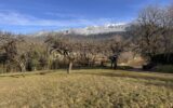 Terrain constructible de 1723 m² sur la commune de Gruffy 74 – NR pièces – NR chambres – 1723 m²