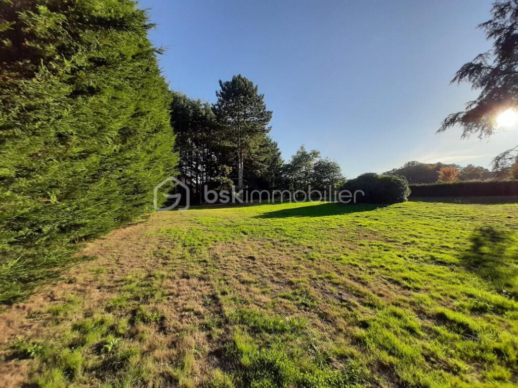 Terrain constructible de 2788 m² – Cognac-la-Forêt 87310 – NR pièces – NR chambres – 2788 m²