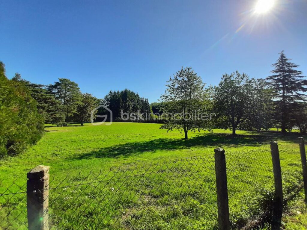 Terrain constructible de 4690 m² – Cognac-la-Forêt 87310 – NR pièces – NR chambres – 4690 m²