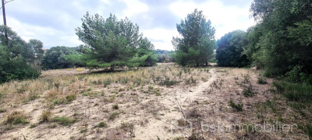 RARE- TERRAIN CONSTRUCTIBLE AVEC VUE++ – NR pièces – NR chambres – 1220 m²