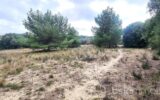 RARE- TERRAIN CONSTRUCTIBLE AVEC VUE++ – NR pièces – NR chambres – 1220 m²